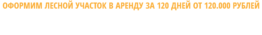 ОФОРМИМ ЛЕСНОЙ УЧАСТОК В АРЕНДУ ЗА 120 ДНЕЙ ОТ 120.000 РУБЛЕЙ (Оплата по факту выполнения работ) - после выставления участка на аукцион
